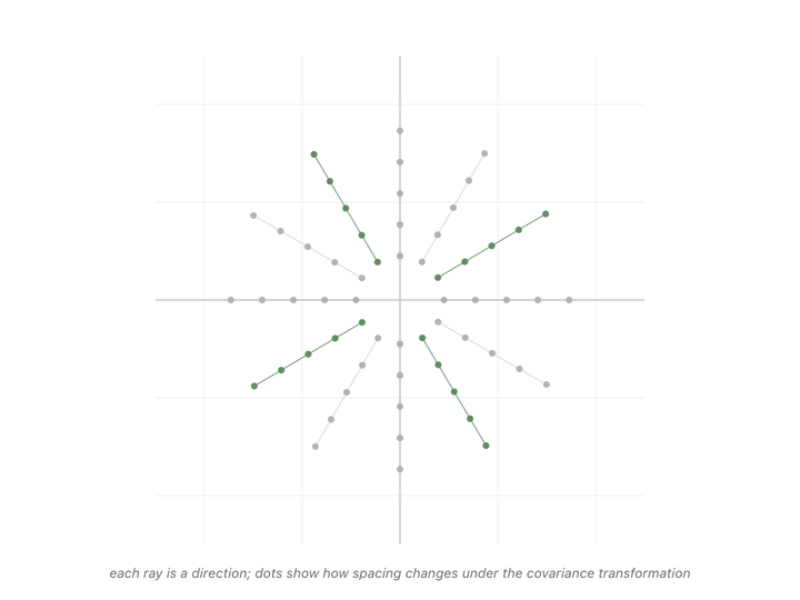 Animated fan of dotted rays radiating from the origin. The covariance matrix is applied; most rays tilt off their original line, but two pairs of rays (the eigenvector directions) stay colinear with their starting position — one pair stretches (bigger gaps between dots), the other compresses (smaller gaps). The eigenvector rays color green as the transformation completes.